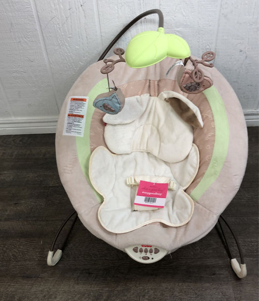 used Fisher Price Deluxe Bouncer