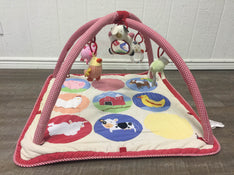 used Skip Hop for Pottery Barn Playmat