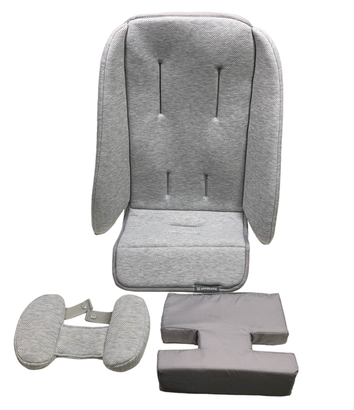 Shop UPPAbaby Infant SnugSeat, Grey at GoodBuy Gear