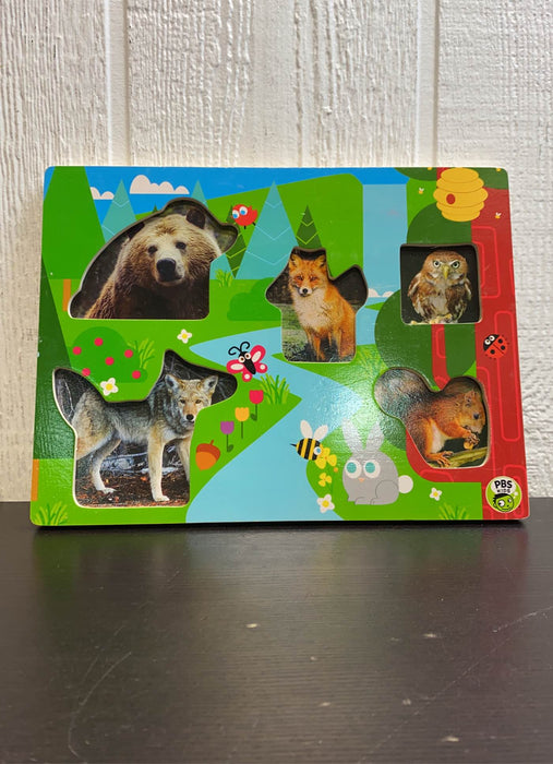 secondhand PBS Kids Wooden Puzzle