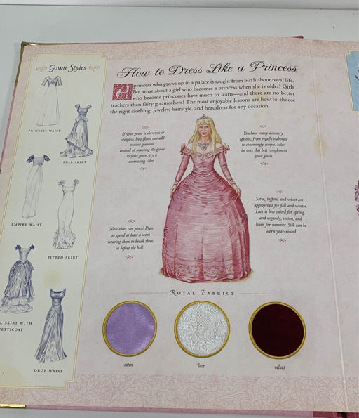 secondhand A Princess Primer Book