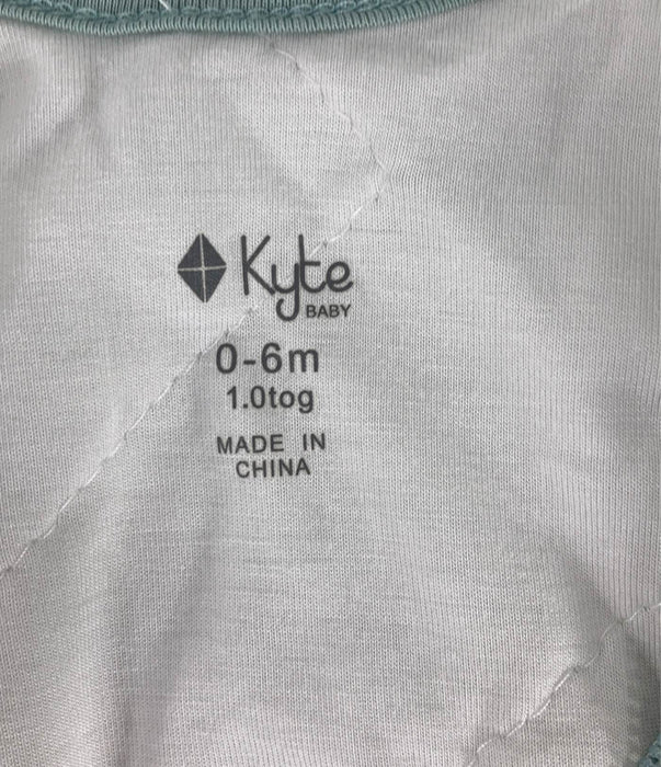 Shop Kyte Baby Sleep Bag, Small( 14-20 pounds), Sage at GoodBuy Gear