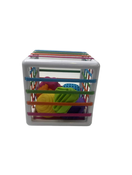 secondhand Fat Brain Toys InnyBin