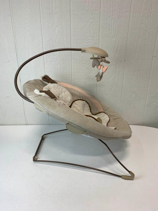 used Fisher Price Deluxe Bouncer