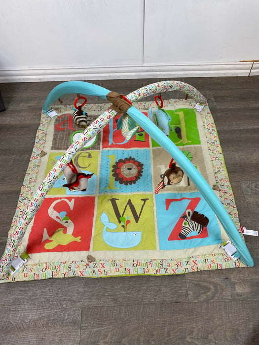 secondhand Skip Hop Activity Gym/Playmat