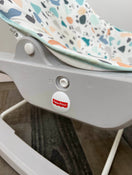 Fisher Price Deluxe Infant To Toddler Rocker