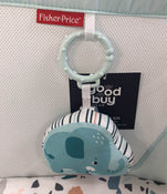 Shop Fisher Price Rock With Me Bassinet at GoodBuy Gear