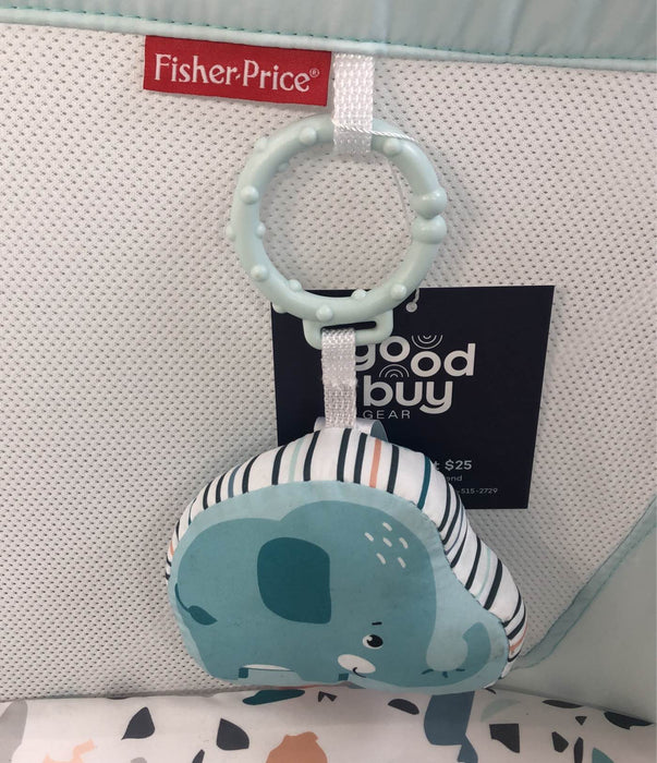 Shop Fisher Price Rock With Me Bassinet at GoodBuy Gear