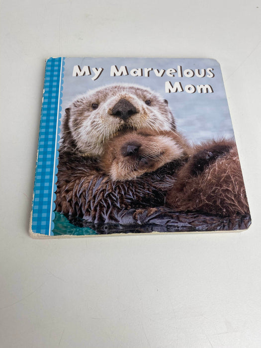 Shop BUNDLE Board Books at GoodBuy Gear