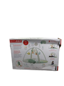 secondhand Skip Hop Activity Gym Play Mat, Garden Oasis