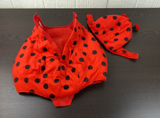 secondhand Dress Up America Ladybug Costume