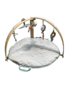 used Ingenuity Cozy Spot Reversible Activity Gym, Loamy