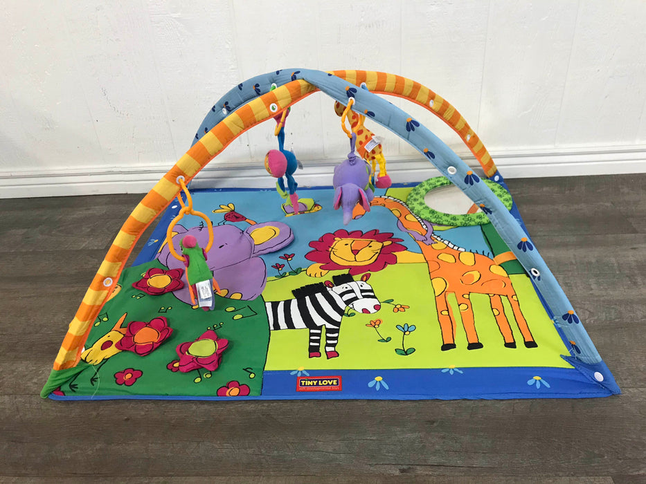 used Tiny Love Gymini Super Deluxe Activity Playmat