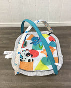 used Baby Einstein 4-in-1 Kickin’ Tunes Music Activity Gym