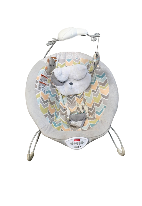 used Fisher Price Deluxe Bouncer, My Little Snugapuppy