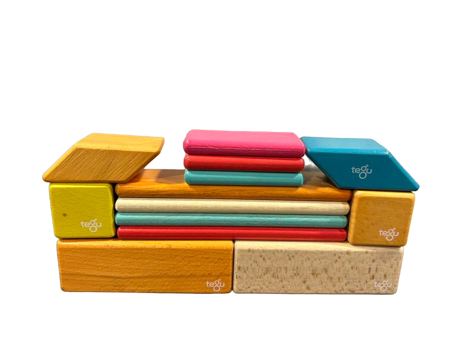 secondhand Tegu Magnetic Wood Blocks