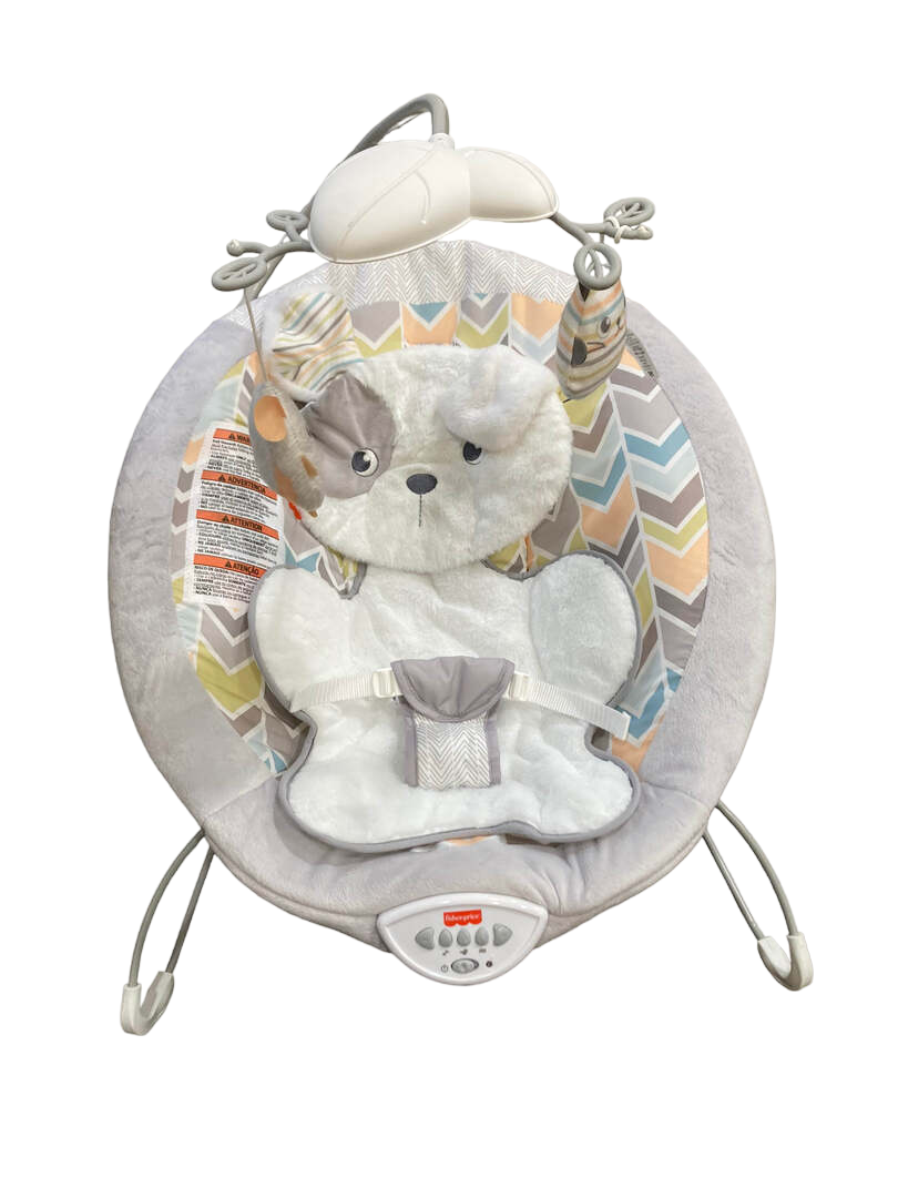 Sweet online snugapuppy bouncer