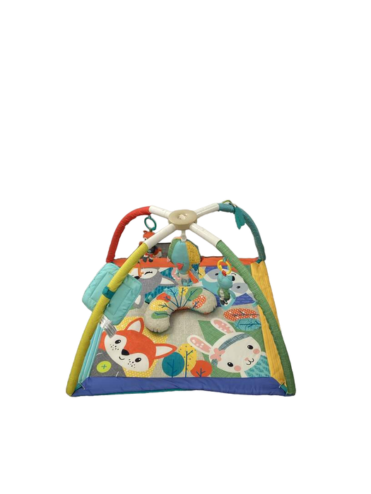 Shop Infantino Take & Play Activity Gym at GoodBuy Gear