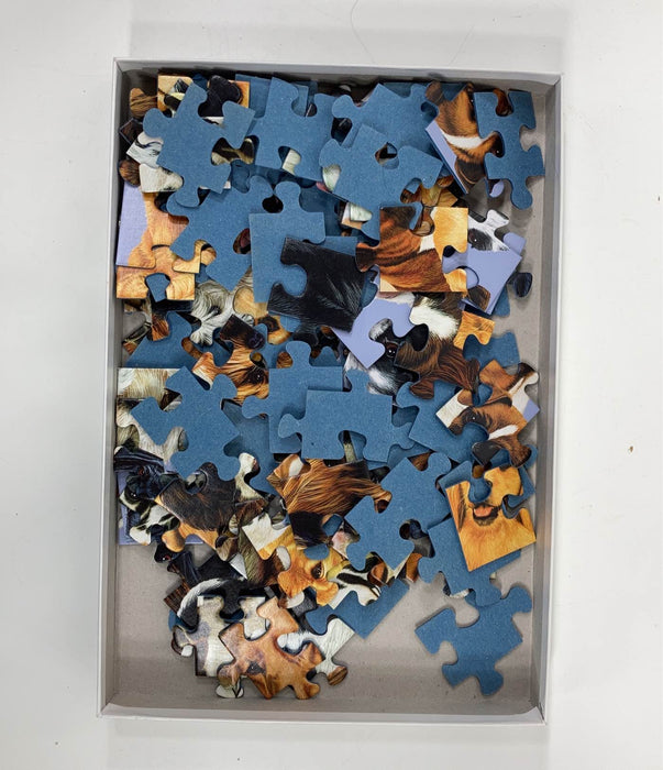 used Ravensburger Puzzle