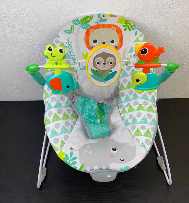 used Fisher Price Baby Bouncer