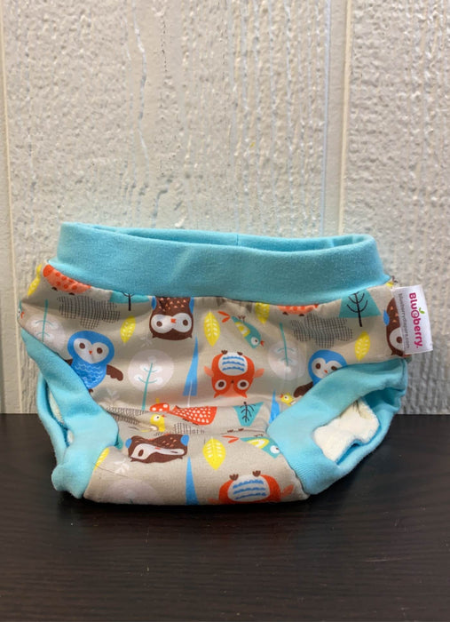 used Blueberry Training Pants