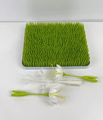 Shop Boon Lawn Countertop Drying Rack With Stem And Twig at GoodBuy Gear