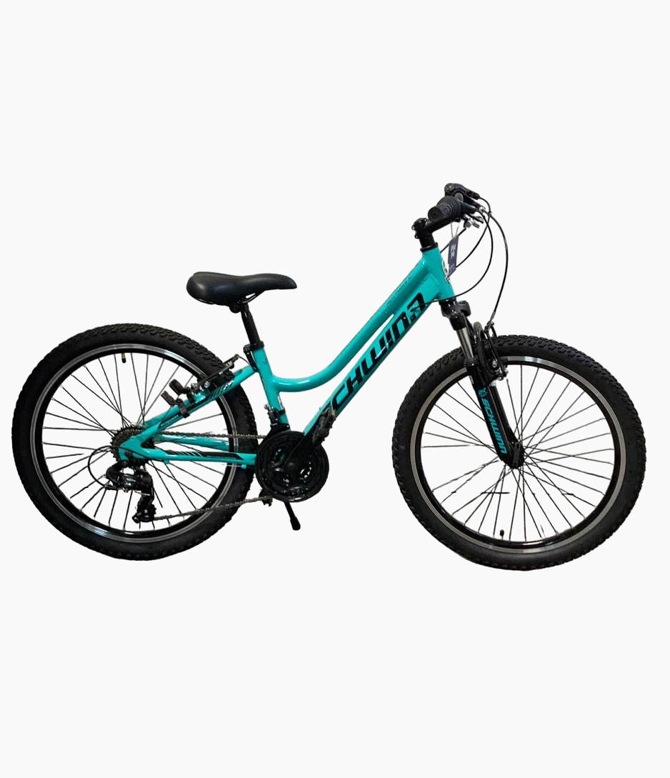 Schwinn high timber youth on sale and adult mountain bike