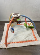 used Baby Gym