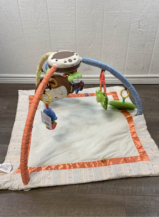 used Baby Gym