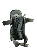 used Thule Sapling Child Carrier, Agave