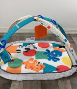 used Baby Einstein Play Gym