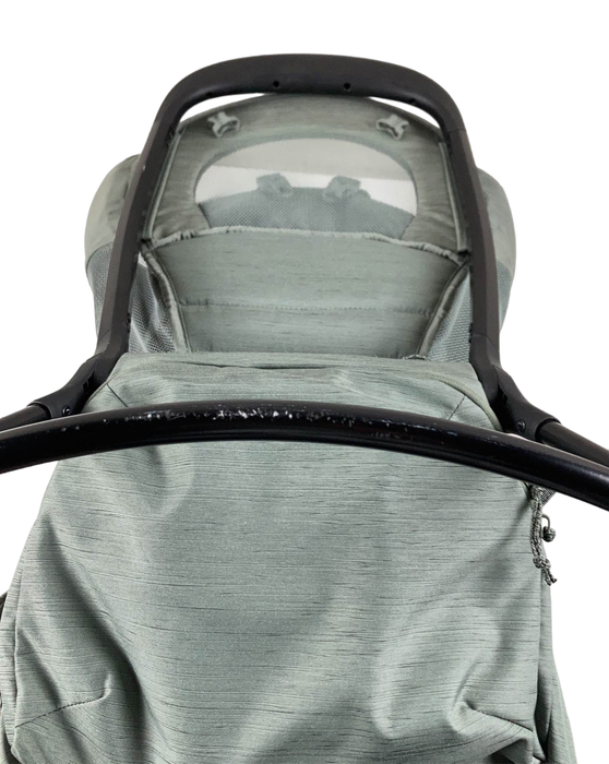 Thule Sapling, Agave