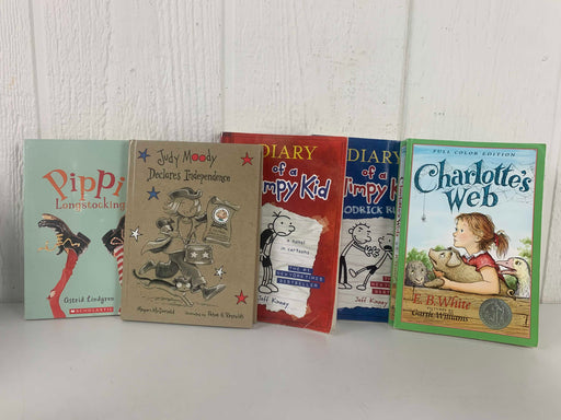 used BUNDLE Children’s Chapter Books