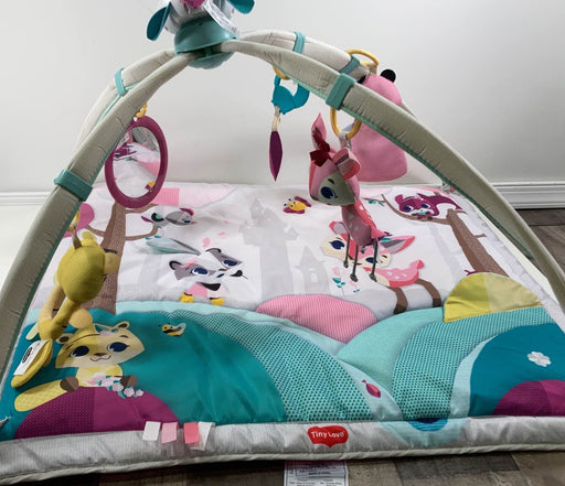 used Tiny Love Tiny Princess Gymini Activity Playmat