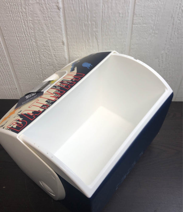 used Igloo Small Cooler