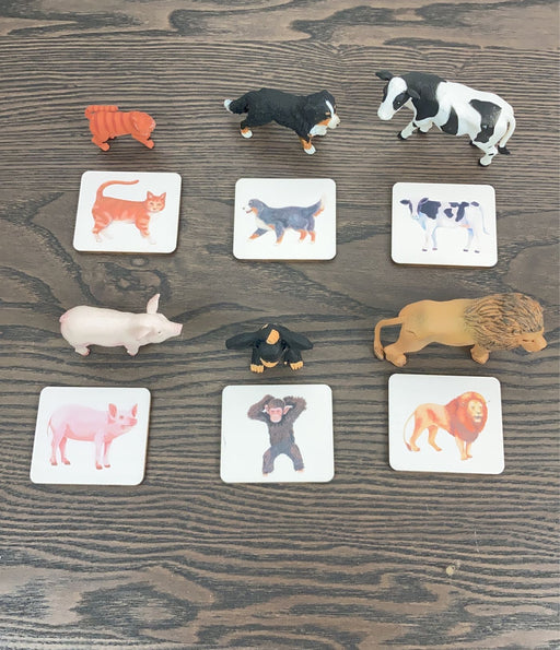 secondhand Animal Family With Cards