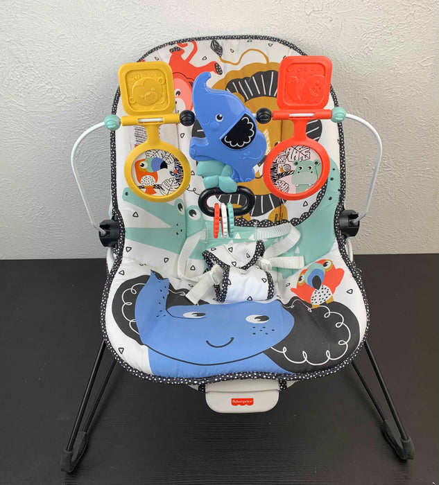 used Fisher Price Baby Bouncer