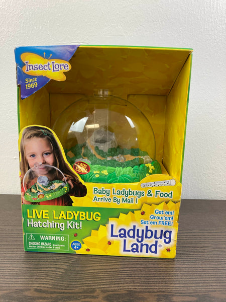 Insect Lore Live Ladybug Growing Kit Toy -unisex-children Original Ladybug  Land