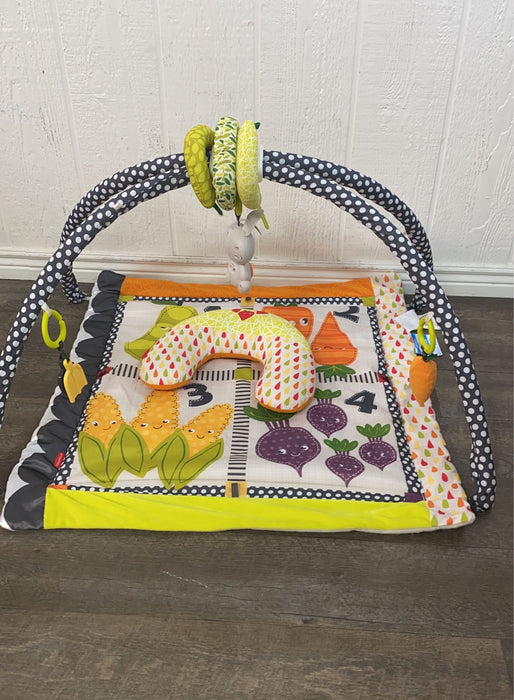 used Fisher Price Tiny Garden Sensory Gym