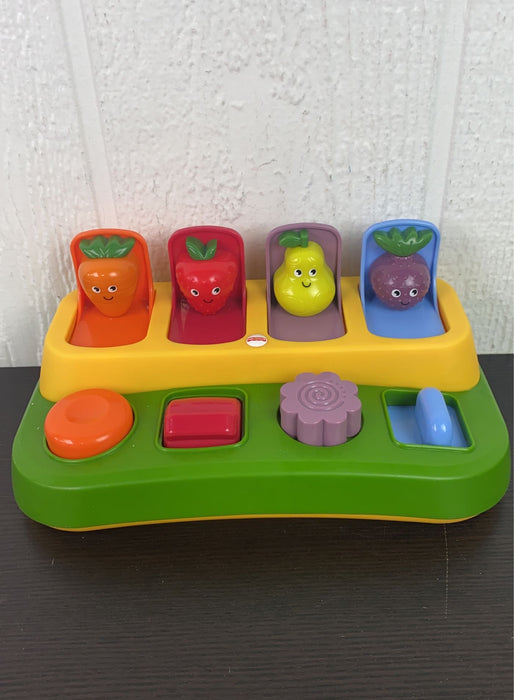 used Fisher Price Pop Up Garden