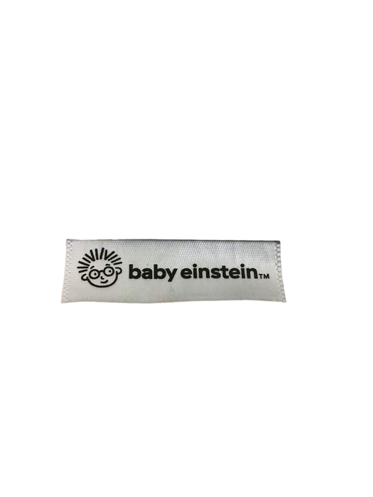 Baby Einstein Curiosity Table Activity Center