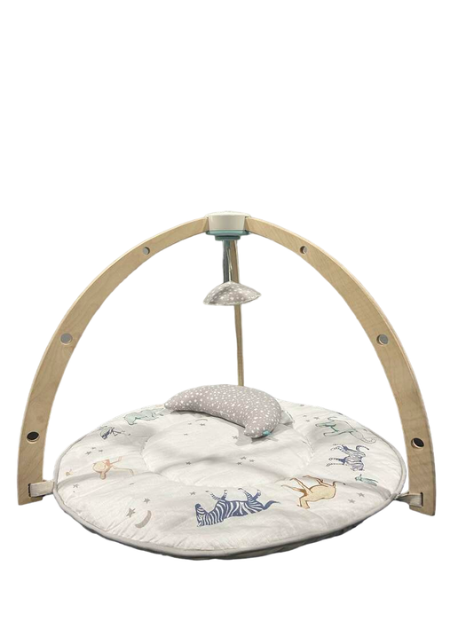 used Aden + Anais Play + Discover Baby Activity Gym, Rising Star