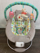 secondhand Disney Baby Winnie The Pooh Bouncer