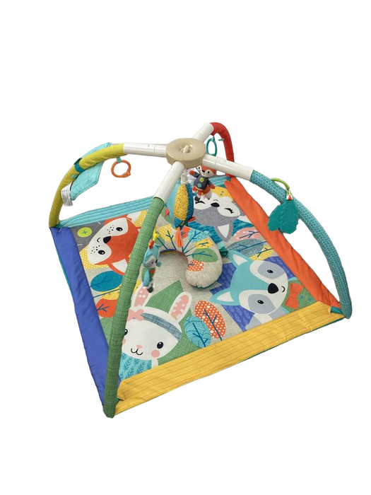 Shop Infantino Take & Play Activity Gym at GoodBuy Gear