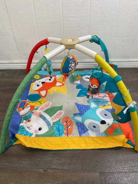 used Infantino Take & Play Activity Gym