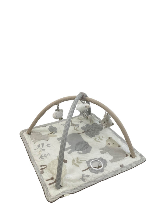 Shop Pottery Barn Kids Animal Friends Classic Activity Gym at GoodBuy Gear