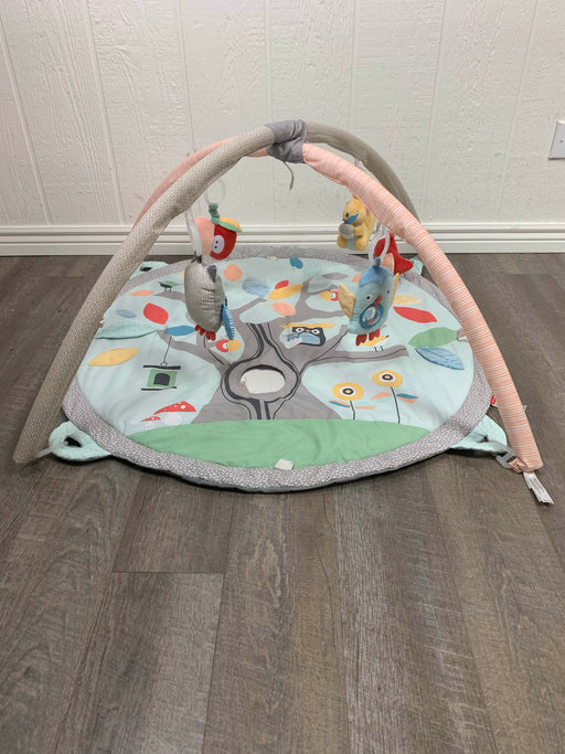 used Skip Hop Activity Gym/ Playmat