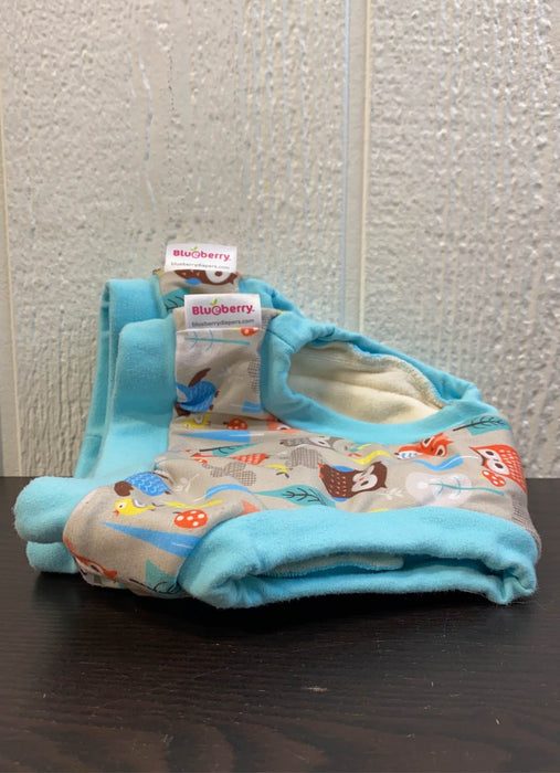 secondhand Blueberry Training Pants