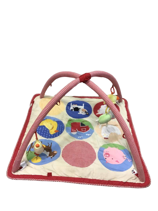 secondhand Skip Hop for Pottery Barn Playmat