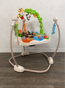 used Fisher Price Go Wild Jumperoo